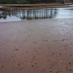 Buddleigh Salterton, Dorset